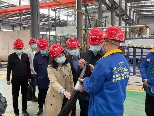 貴陽市常委、市工商聯(lián)、廣東總商會一行到我廠調研
